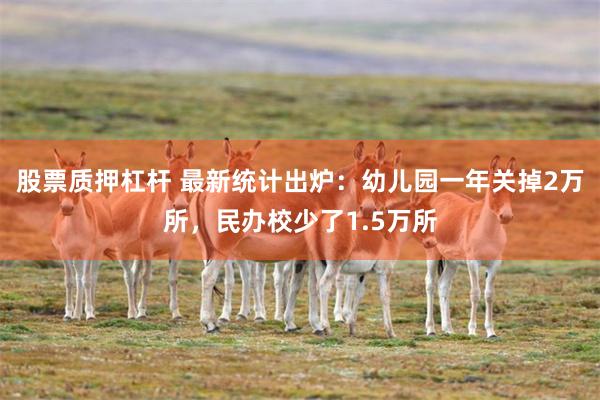 股票质押杠杆 最新统计出炉：幼儿园一年关掉2万所，民办校少了1.5万所