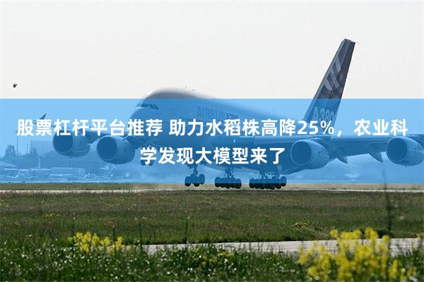 股票杠杆平台推荐 助力水稻株高降25%，农业科学发现大模型来了