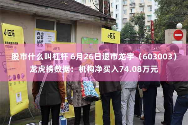 股市什么叫杠杆 6月26日退市龙宇（603003）龙虎榜数据：机构净买入74.08万元