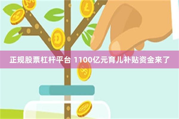 正规股票杠杆平台 1100亿元育儿补贴资金来了