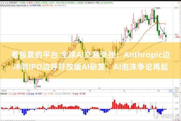 看股票的平台 全球AI交易受挫！Anthropic边冲刺IPO边呼吁放缓AI研发，AI泡沫争论再起