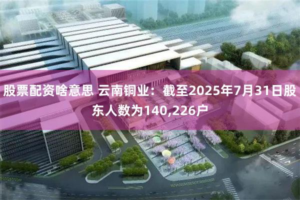 股票配资啥意思 云南铜业：截至2025年7月31日股东人数为140,226户
