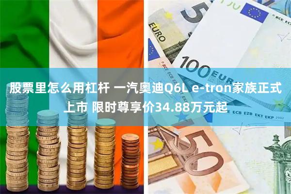 股票里怎么用杠杆 一汽奥迪Q6L e-tron家族正式上市 限时尊享价34.88万元起