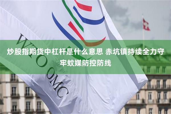 炒股指期货中杠杆是什么意思 赤坑镇持续全力守牢蚊媒防控防线