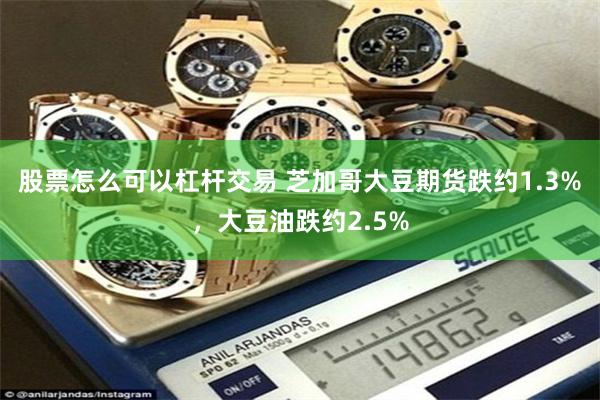 股票怎么可以杠杆交易 芝加哥大豆期货跌约1.3%，大豆油跌约2.5%