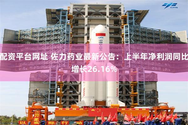 配资平台网址 佐力药业最新公告：上半年净利润同比增长26.16%