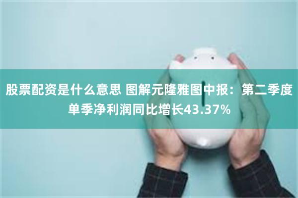 股票配资是什么意思 图解元隆雅图中报：第二季度单季净利润同比增长43.37%