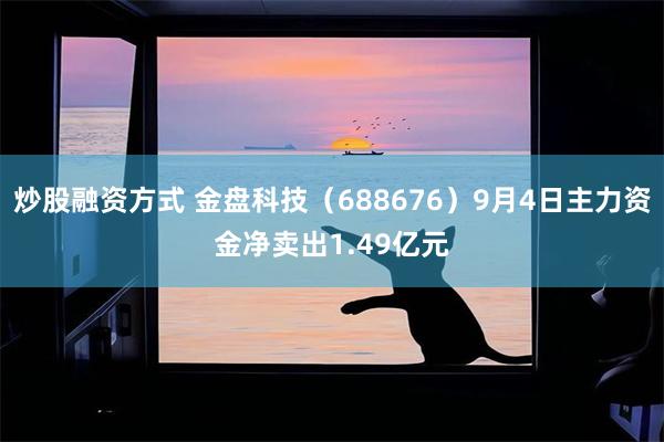 炒股融资方式 金盘科技（688676）9月4日主力资金净卖出1.49亿元