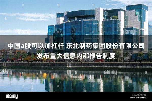 中国a股可以加杠杆 东北制药集团股份有限公司发布重大信息内部报告制度