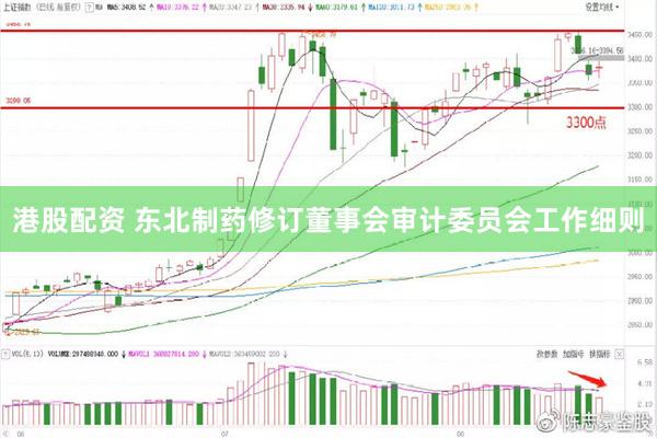 港股配资 东北制药修订董事会审计委员会工作细则