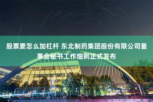 股票要怎么加杠杆 东北制药集团股份有限公司董事会秘书工作细则正式发布