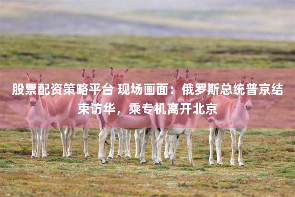 股票配资策略平台 现场画面：俄罗斯总统普京结束访华，乘专机离开北京