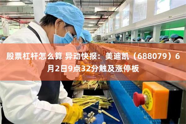 股票杠杆怎么算 异动快报：美迪凯（688079）6月2日9点32分触及涨停板