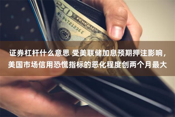 证券杠杆什么意思 受美联储加息预期押注影响，美国市场信用恐慌指标的恶化程度创两个月最大