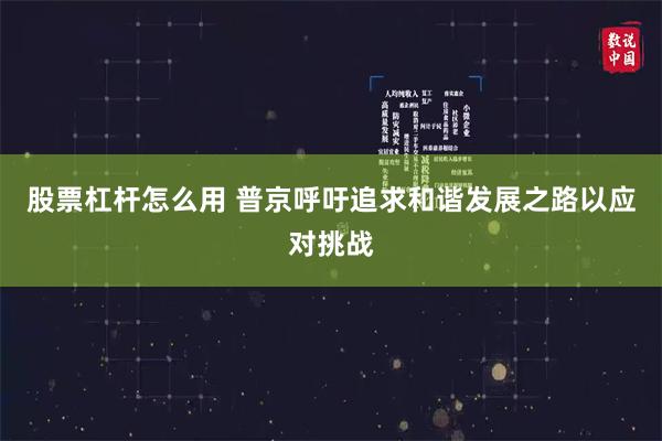 股票杠杆怎么用 普京呼吁追求和谐发展之路以应对挑战