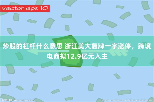 炒股的杠杆什么意思 浙江美大复牌一字涨停，跨境电商拟12.9亿元入主