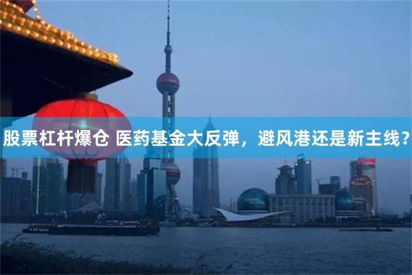 股票杠杆爆仓 医药基金大反弹，避风港还是新主线？