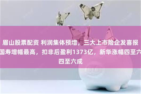 眉山股票配资 利润集体预增，三大上市险企发喜报！国寿增幅最高，扣非后盈利1373亿，新华涨幅四至六成
