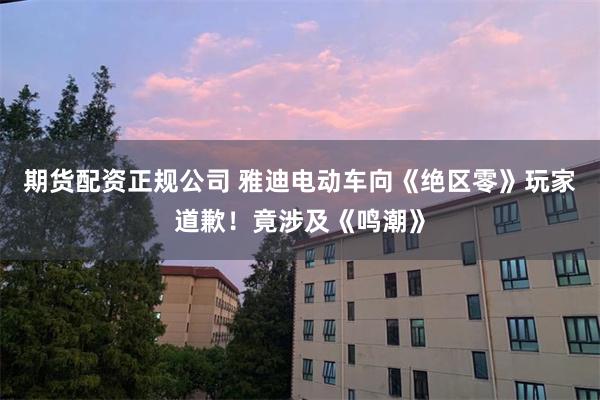 期货配资正规公司 雅迪电动车向《绝区零》玩家道歉！竟涉及《鸣潮》