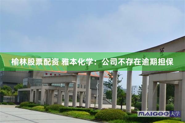 榆林股票配资 雅本化学:公司不存在逾期担保