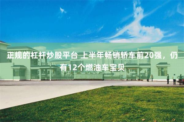 正规的杠杆炒股平台 上半年畅销轿车前20强，仍有12个燃油车宝贝