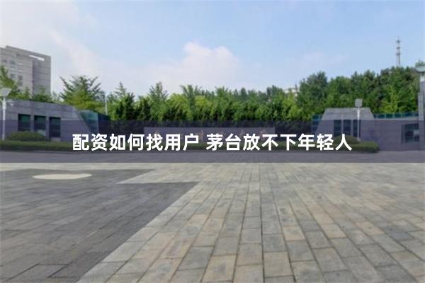 配资如何找用户 茅台放不下年轻人