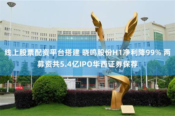 线上股票配资平台搭建 晓鸣股份H1净利降99% 两募资共5.4亿IPO华西证券保荐
