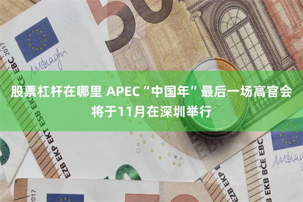 股票杠杆在哪里 APEC“中国年”最后一场高官会将于11月在深圳举行