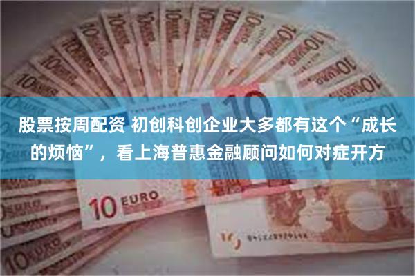 股票按周配资 初创科创企业大多都有这个“成长的烦恼”，看上海普惠金融顾问如何对症开方