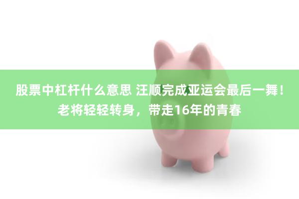 股票中杠杆什么意思 汪顺完成亚运会最后一舞!老将轻轻转身,带走16年的青春