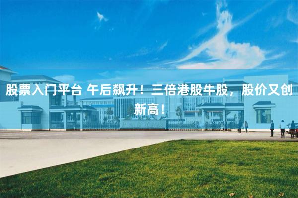 股票入门平台 午后飙升！三倍港股牛股，股价又创新高！