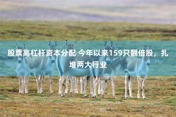 股票高杠杆资本分配 今年以来159只翻倍股，扎堆两大行业